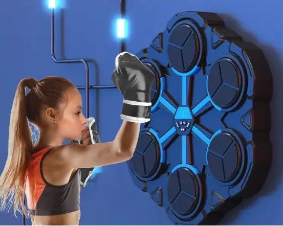 Boxing Target Trainer