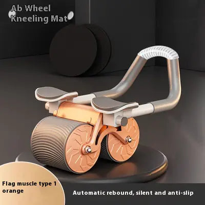 Ab Wheel Roller